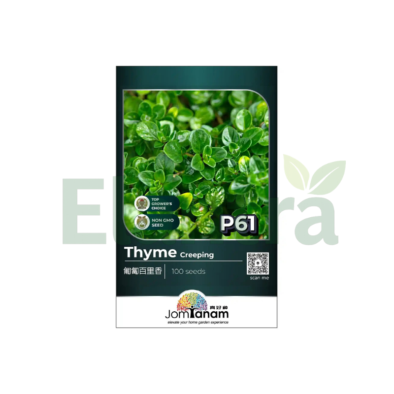 P61 THYME